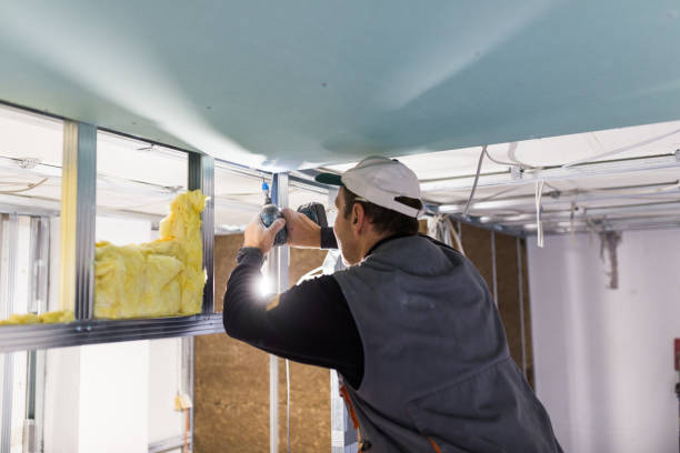 Best Specialized Insulation Services in Waynesville, MO